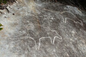 Elvina Bay Track - an engraving of two wallabies